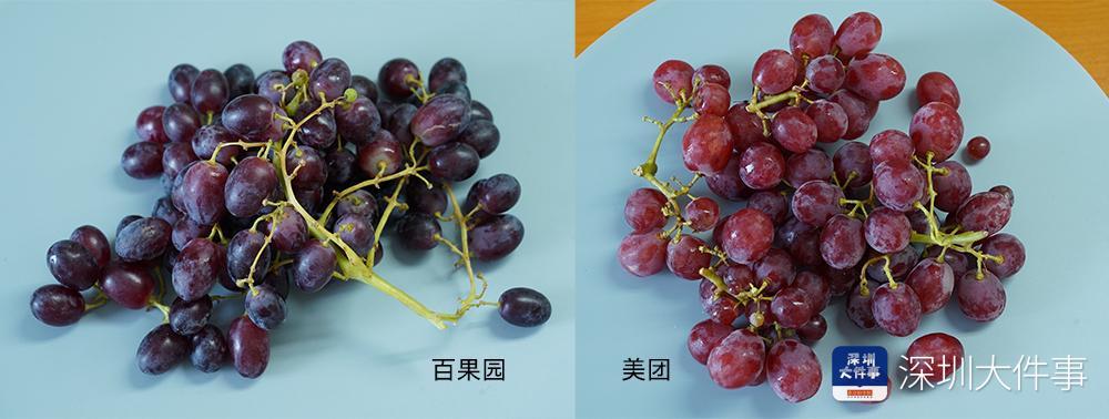 消費需求旺盛投訴也增長，5大水果電商測評哪家表現“翻車”