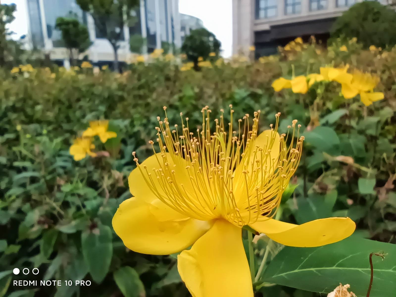 不吹不黑的小米新手機，Redmi Note 10 Pro真實的體驗