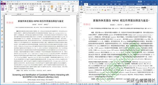 測試了八個PDF軟件，一篇文章告訴你，電腦PDF軟件哪家好用？