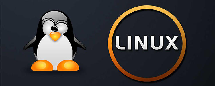 2021最全Linux基本命令匯總（最全面！最詳細?。┻@一篇就夠了