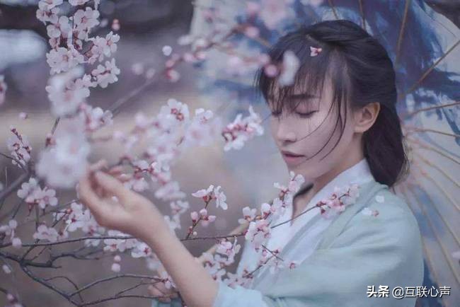 字節跳動投資李子柒，中視頻再掀起波瀾，“內容創業”幾人知曉？