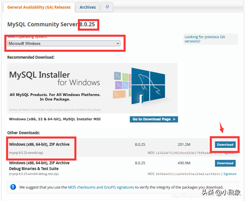 MySQL 8.0.25 - zip方式安裝教程(Window10)