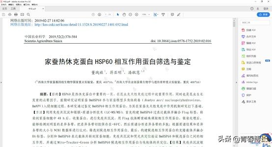 測試了八個PDF軟件，一篇文章告訴你，電腦PDF軟件哪家好用？