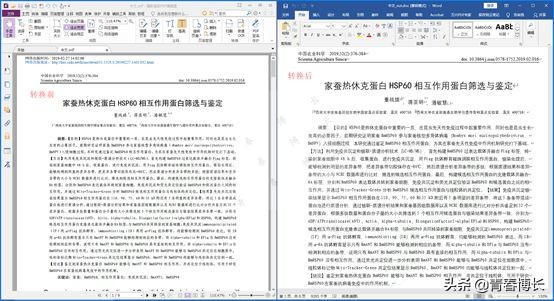 測試了八個PDF軟件，一篇文章告訴你，電腦PDF軟件哪家好用？