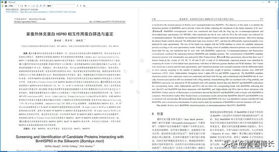 測試了八個PDF軟件，一篇文章告訴你，電腦PDF軟件哪家好用？