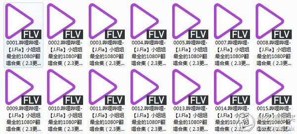 一個網站，一個軟件|輕松解決你90%的視頻下載需求