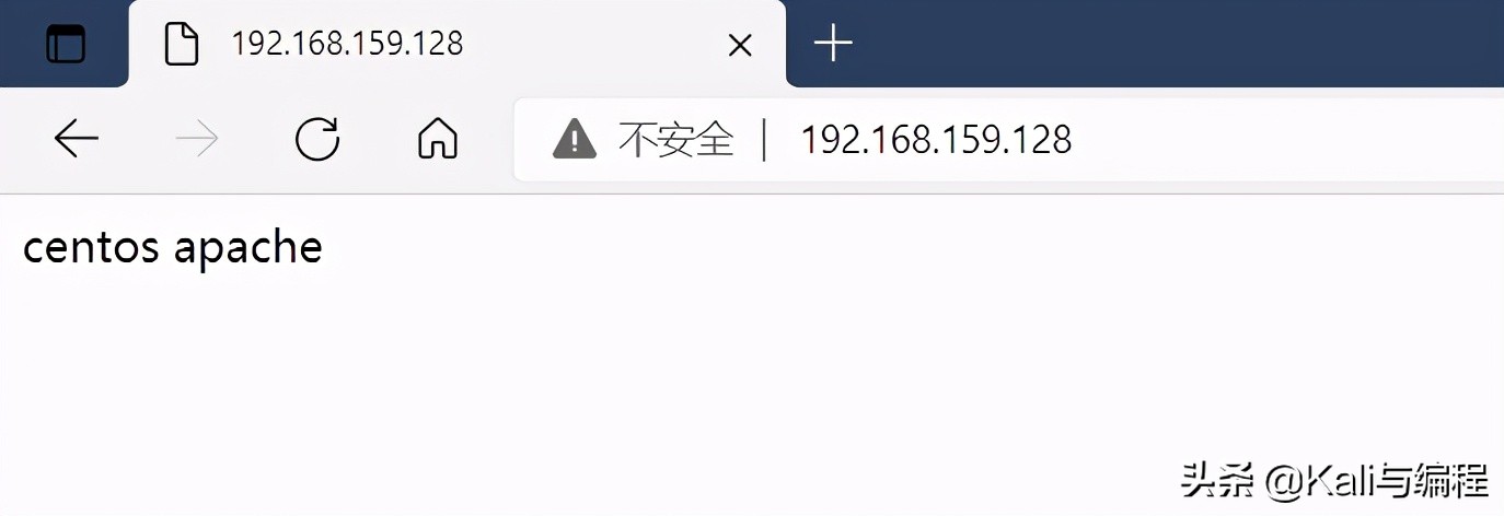 Kali與編程：Centos7上搭建web服務器