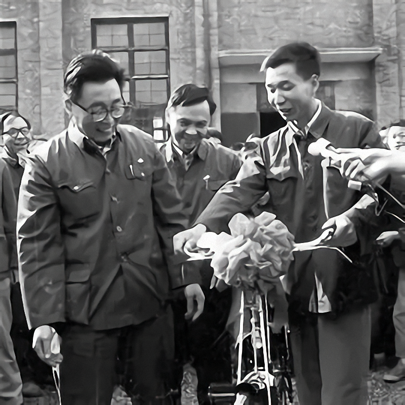 上世紀自行車的故事｜鳳凰車堪比奔馳，賣萬斤糧只為買一輛永久