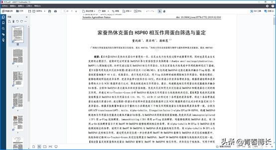 測試了八個PDF軟件，一篇文章告訴你，電腦PDF軟件哪家好用？
