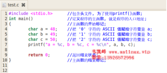 C語言支持哪些基本數據類型？