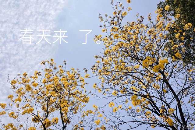 活用好玩的P圖軟件 下一個攝影大神就是你