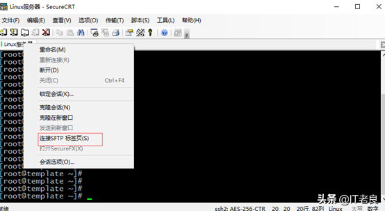IT人員必備工具SecureCRT介紹及一些實用小技巧