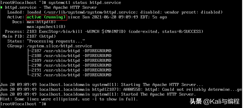 Kali與編程：Centos7上搭建web服務器