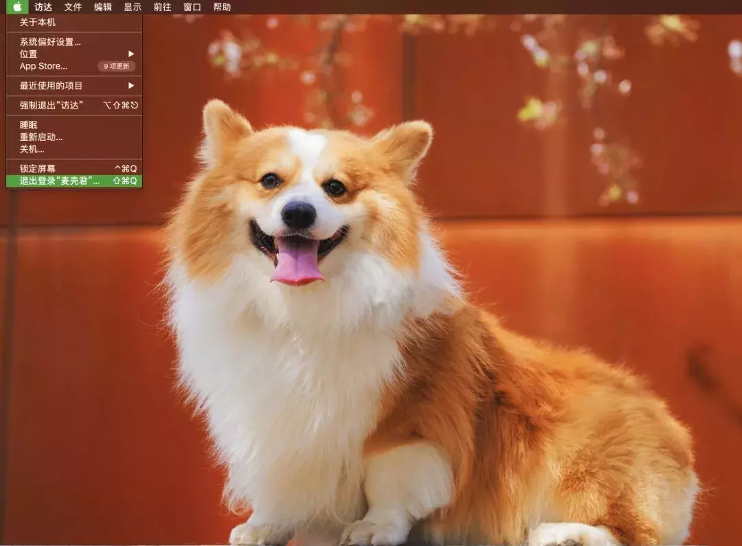 Mac 用戶登錄界面變成了英文？教你兩招，輕松改成中文！