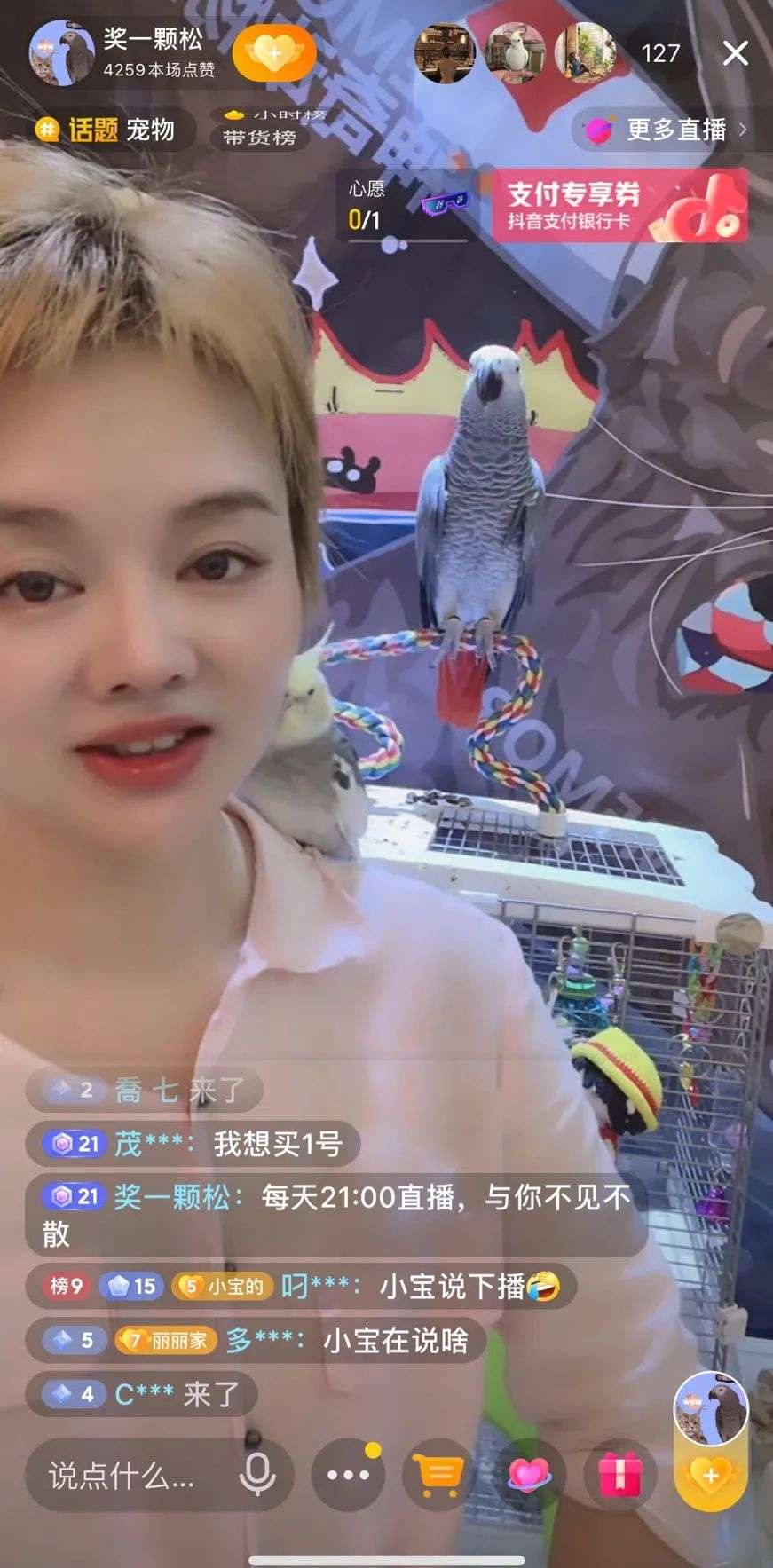 躺睡月入百萬，寵物直播能誕生下一個“薇婭李佳琦”嗎？