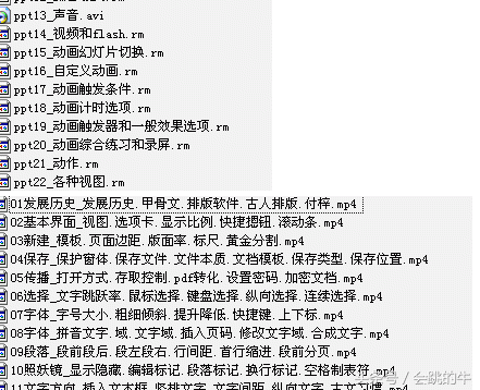 Office 2003/2007/2010 excel word ppt/辦公軟件視頻教程全套