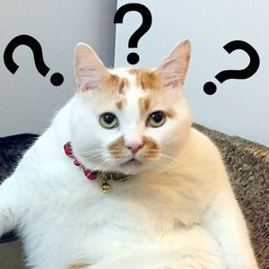 CAD的圖幅比例要如何設定？掌握這些技巧，讓你1秒完成操作