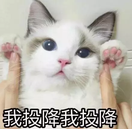 OPPO手機刷機必看！如何正確的給手機刷機？