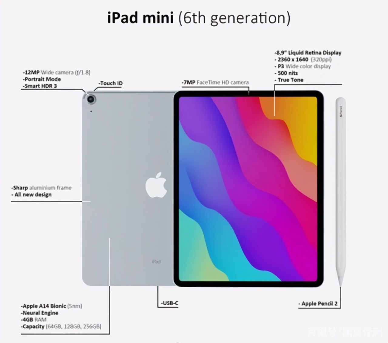 性能大幅度升級，iPad Mini6相關消息曝光，最強手游機器沒跑了？