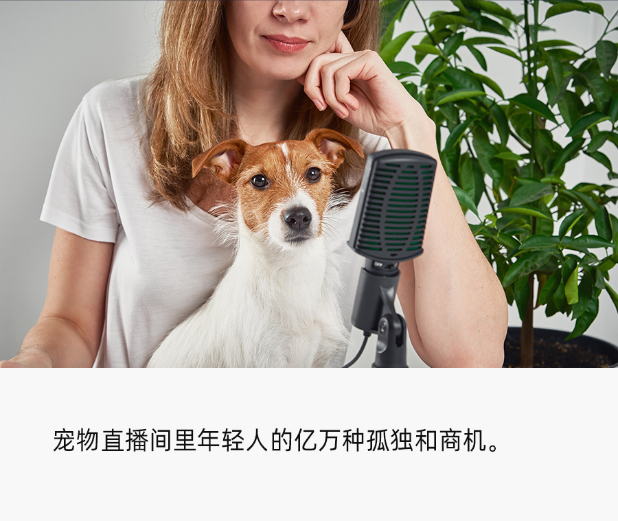 躺睡月入百萬，寵物直播能誕生下一個“薇婭李佳琦”嗎？