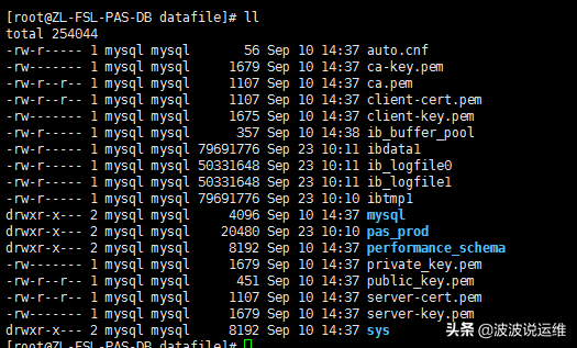 一文看懂mysql數據庫本質及存儲引擎innodb+myisam