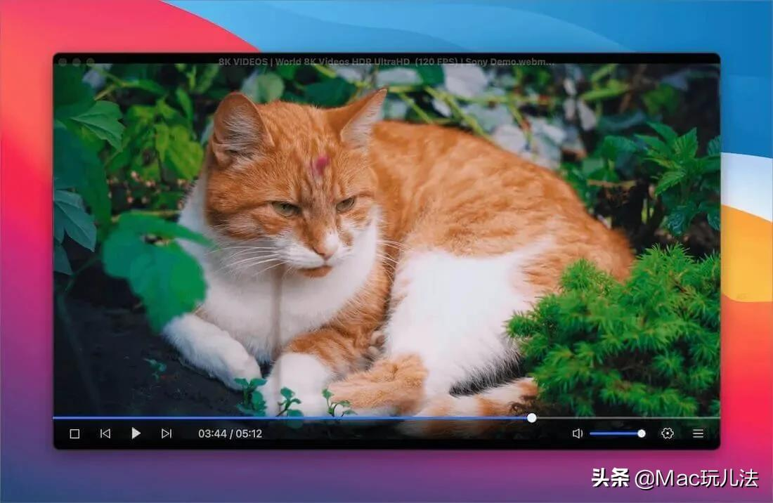 恒星播放器:免費好用的高清視頻播放器