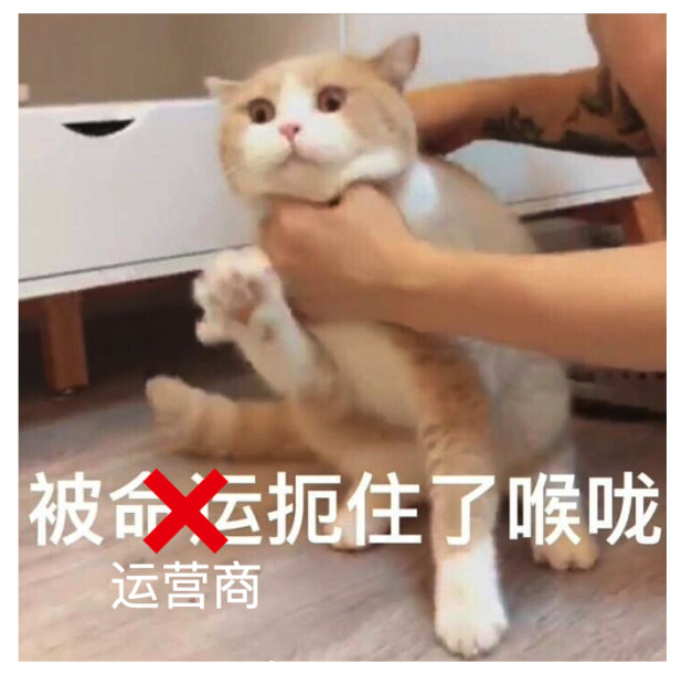 人人都是 LSP？——種子與文件下載的相愛相殺