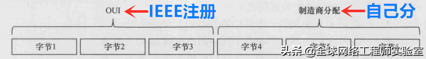 0基礎入門網絡工程師之以太網MAC地址詳解