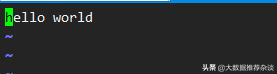Linux 編輯器之神 vim 的 IO 存儲原理