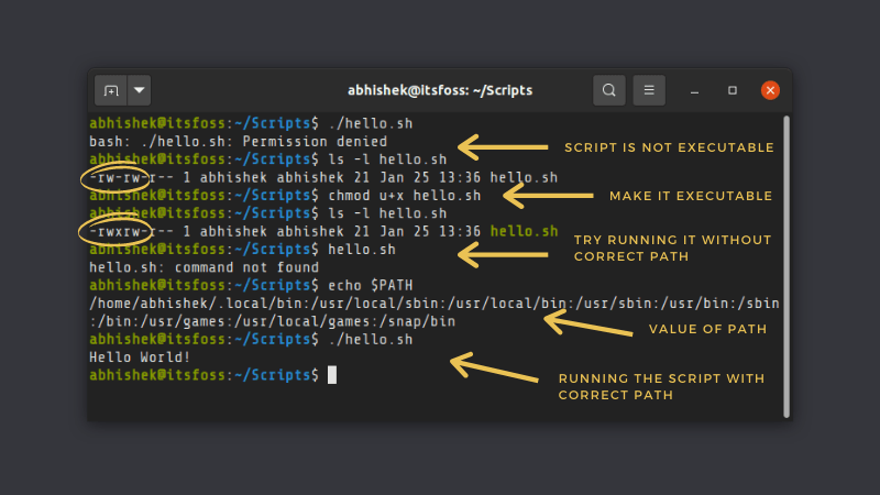 基礎:如何在 Linux 中運行一個 Shell 腳本