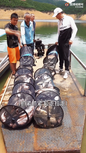 “天元鄧剛”單月漲粉千萬，釣魚竟成抖音最受歡迎休閑運動？