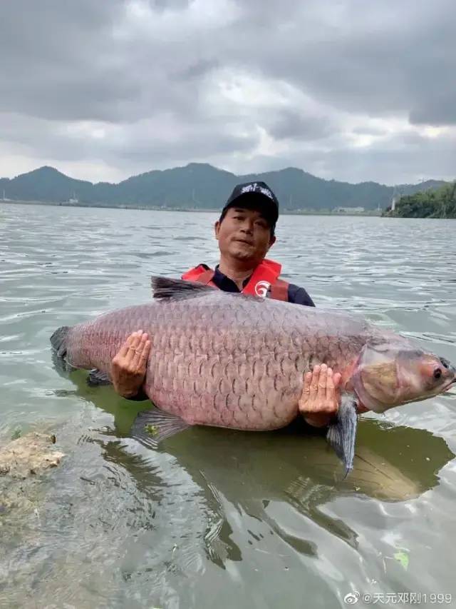 “天元鄧剛”單月漲粉千萬，釣魚竟成抖音最受歡迎休閑運動？