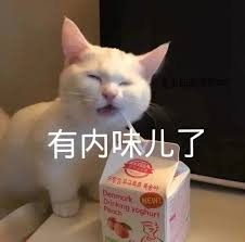 人人都是 LSP？——種子與文件下載的相愛相殺