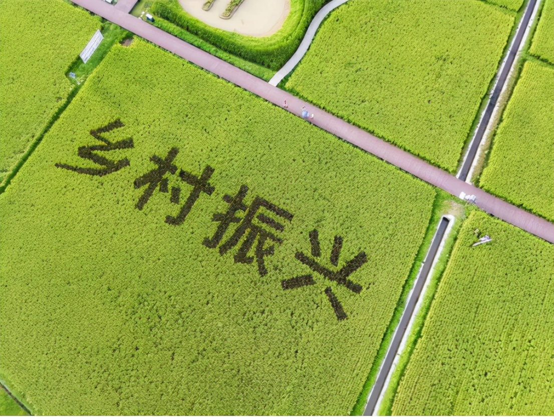 阿里突然宣布捐款1000億元，是資本的良心發現，還是有利可圖？