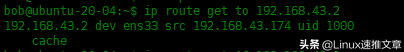 Linux中ip命令的使用實例