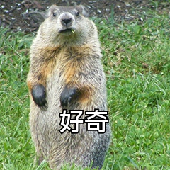 WMA怎么轉換為MP3？五種方法幫你完成