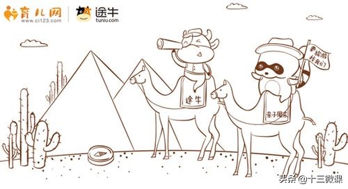 自媒體平臺到底有哪些？這個回答真的很贊