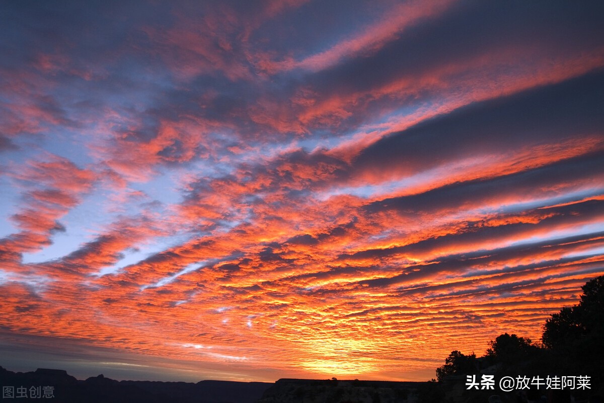 眾源教育抖音短視頻新玩法教你如何脫穎而出