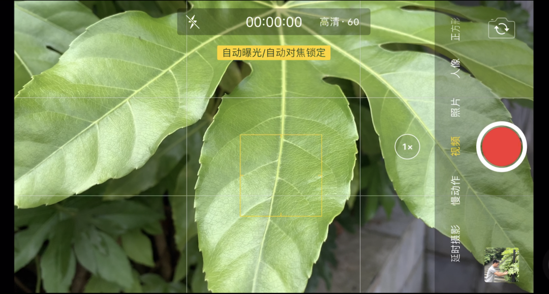 新手如何快速學會用手機拍短視頻？長文總結（上）