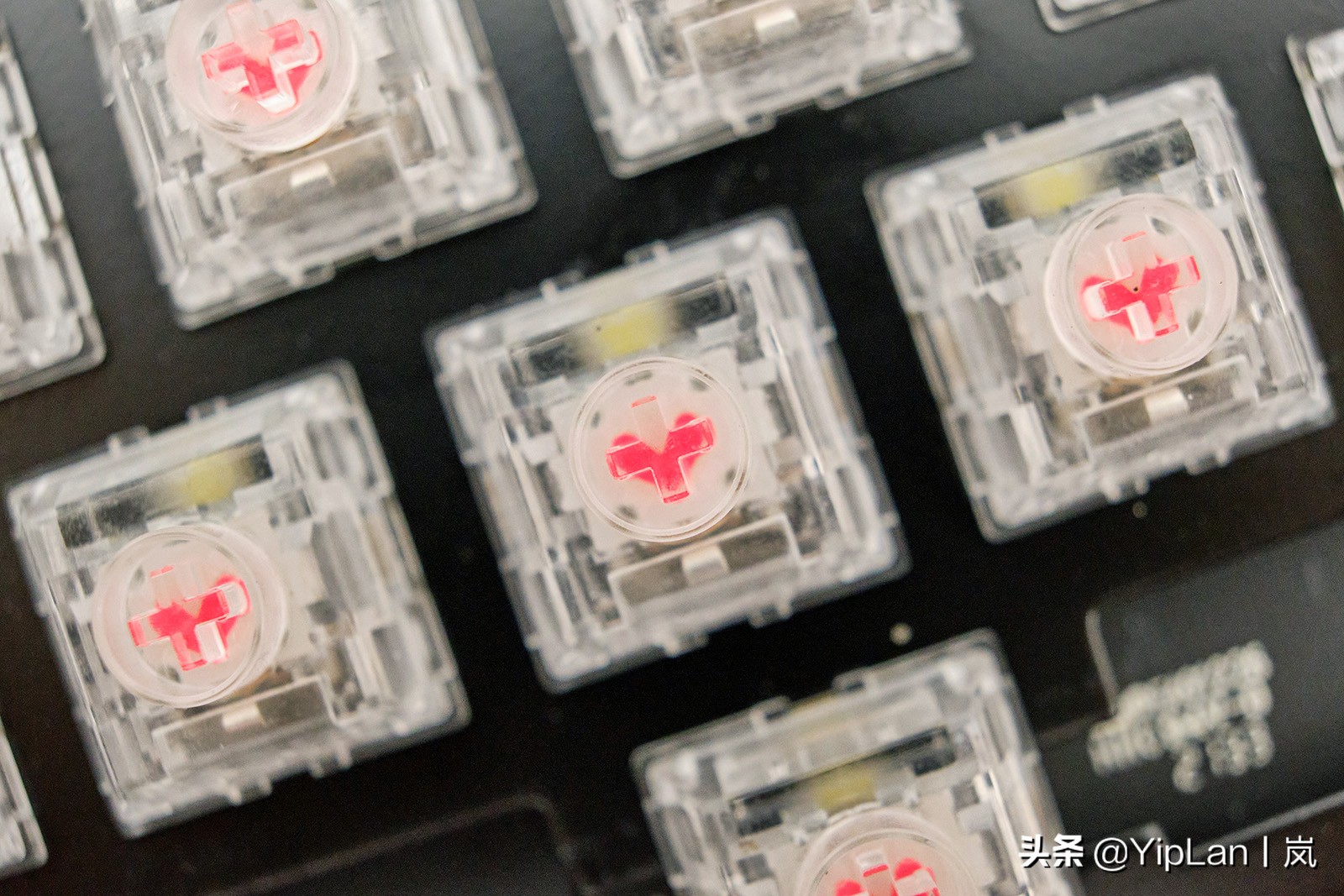 宛若夏日里那杯冰飲，吉利鴨Ducky9108芝芝桃桃鍵盤開箱