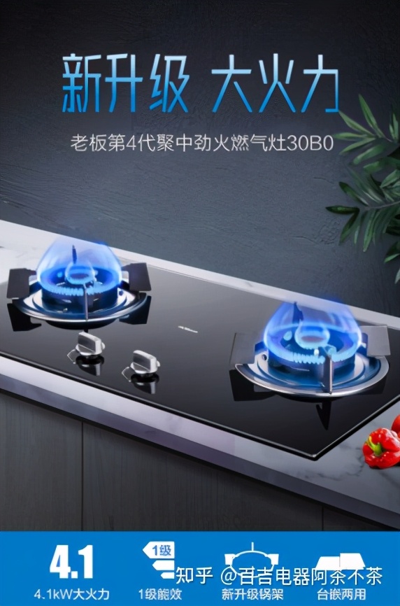 2021中國燃氣灶十大品牌，你心目中的第一是？