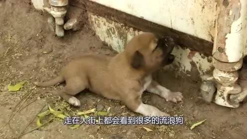 怎么用閑魚賺錢，每月工資多3000
