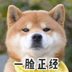 滾筒洗衣機怎么選？滾筒洗衣機哪個牌子好？滾筒洗衣機熱銷排行