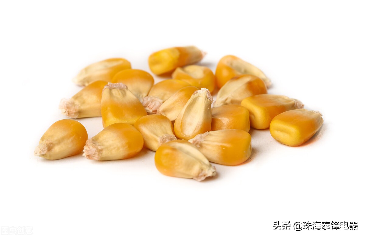 新手小白不會用壓力鍋？這份使用指南請收好