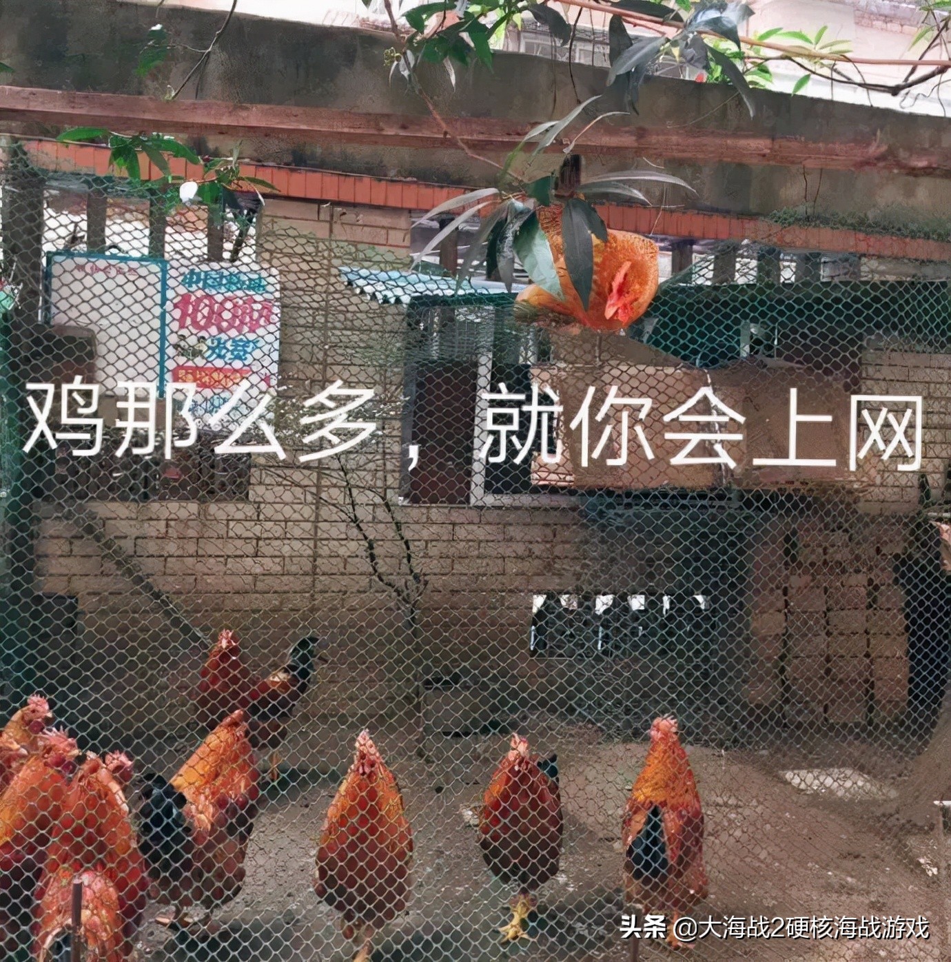 Windows 的新玩法，學會這些小技巧女神都找你修電腦