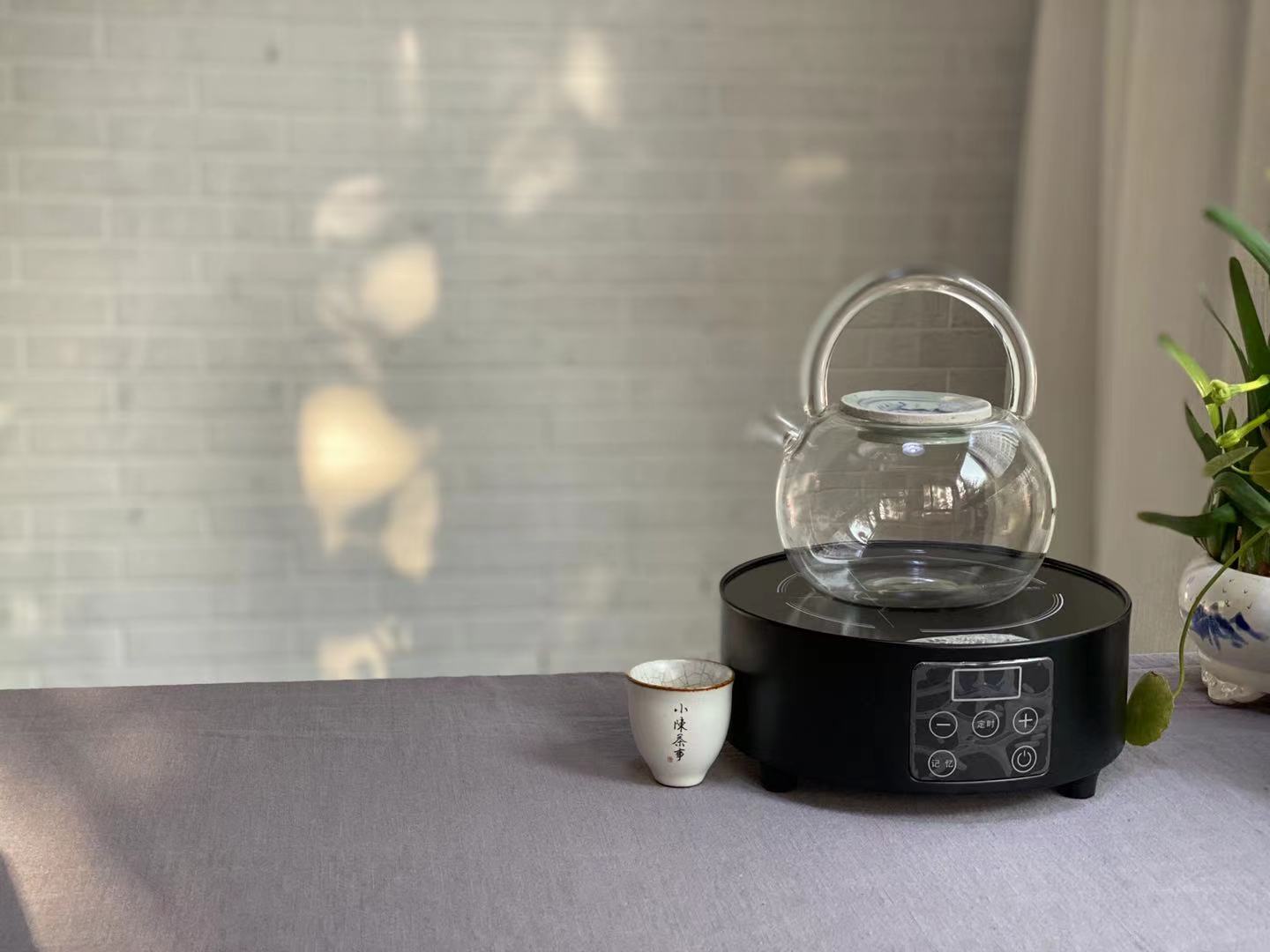 茶友入手的高等級白茶，號稱只能煮著喝，村姑陳不忍心打擊她