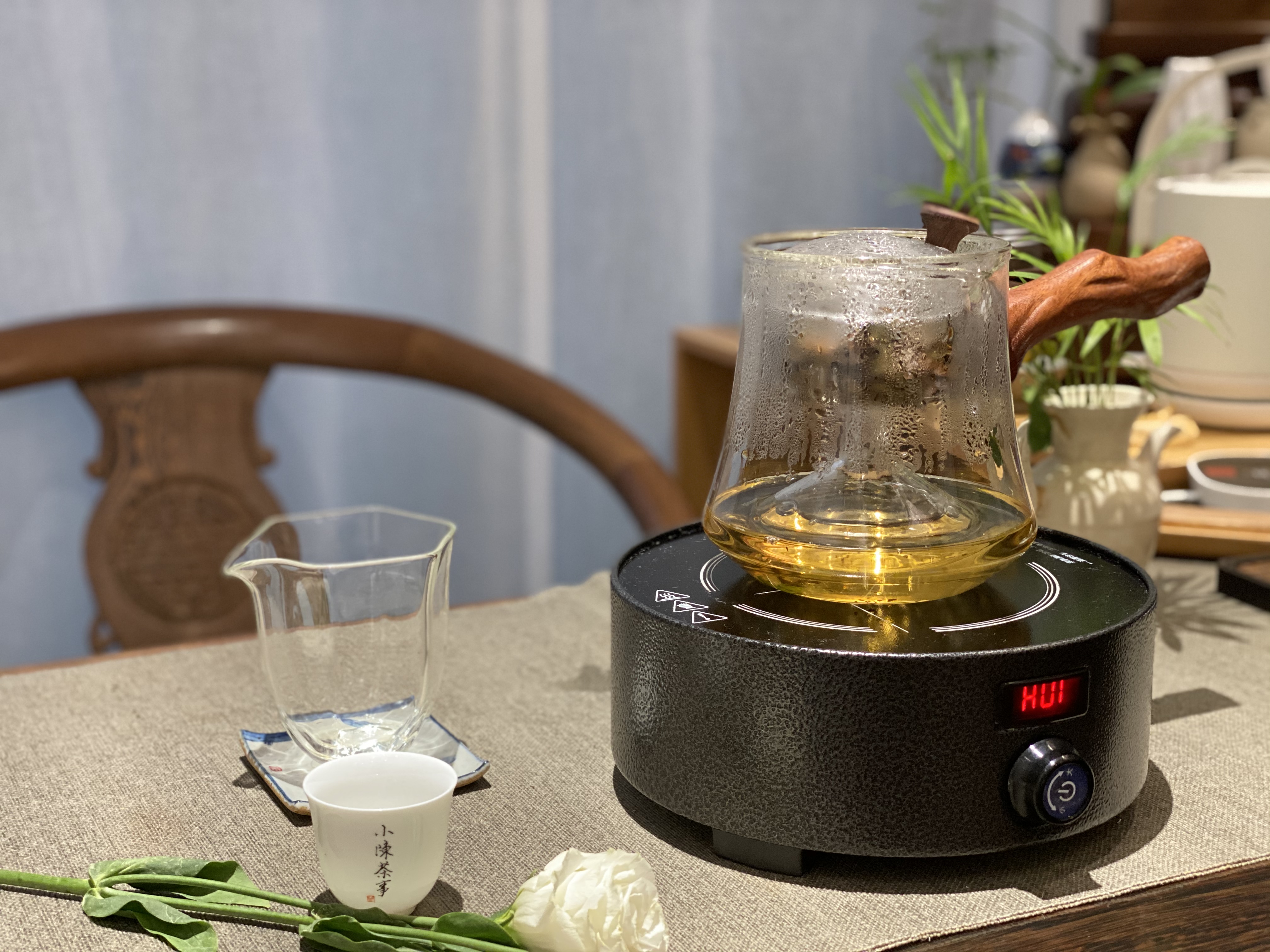 茶友入手的高等級白茶，號稱只能煮著喝，村姑陳不忍心打擊她