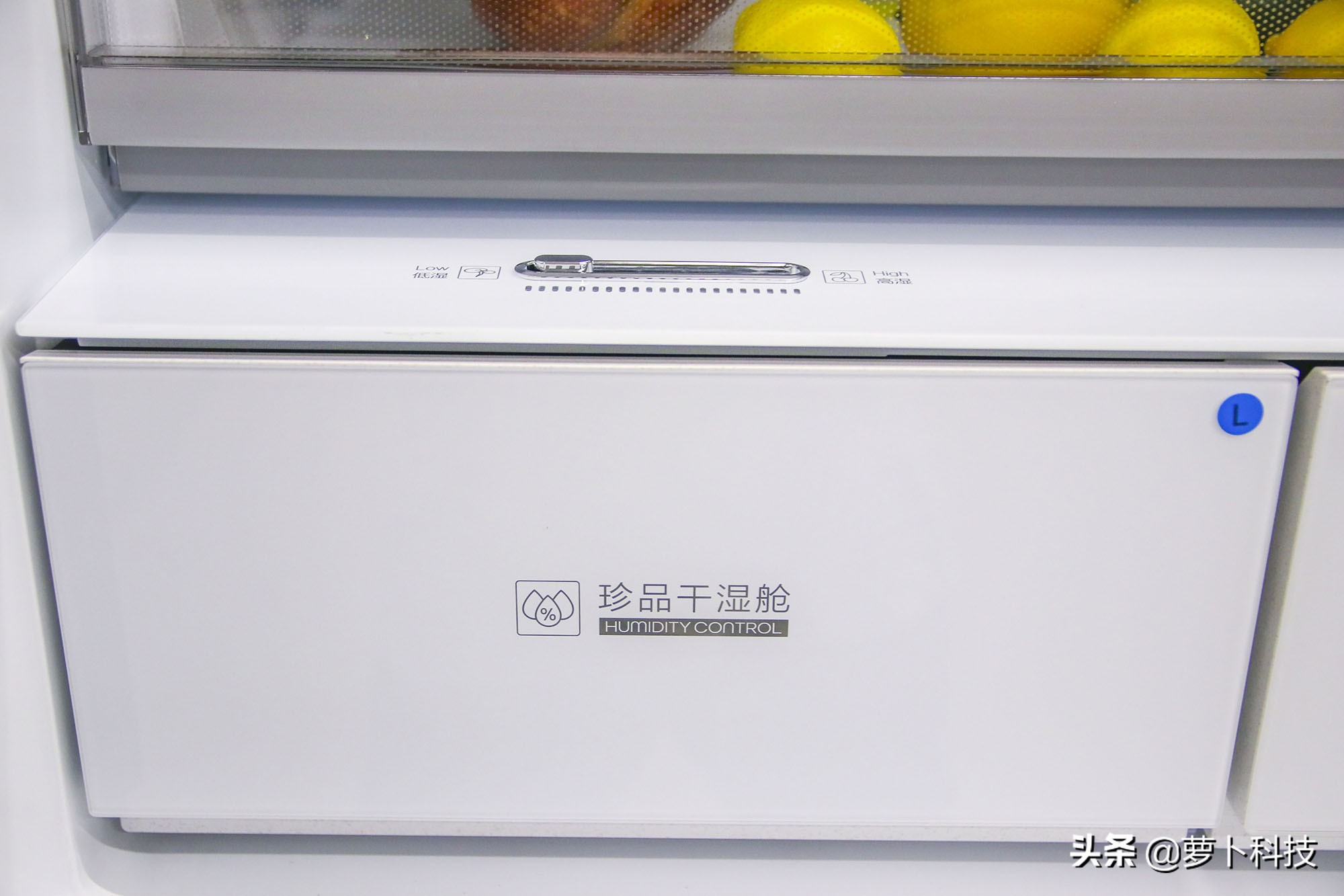 TCL Q2智能恒溫養鮮冰箱體驗：靜音大容量，鎖鮮有門道