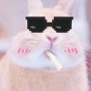 特別的人
